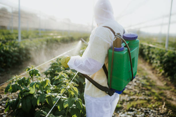 Best Ant Control Services  in Naranja, FL
